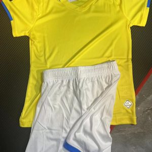 Plus size Jersey Promotion (Yellow Classic)
